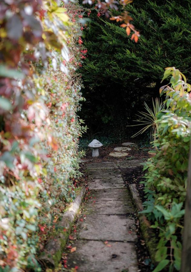 The Cottage @ Burkedale House Corofin  Bagian luar foto