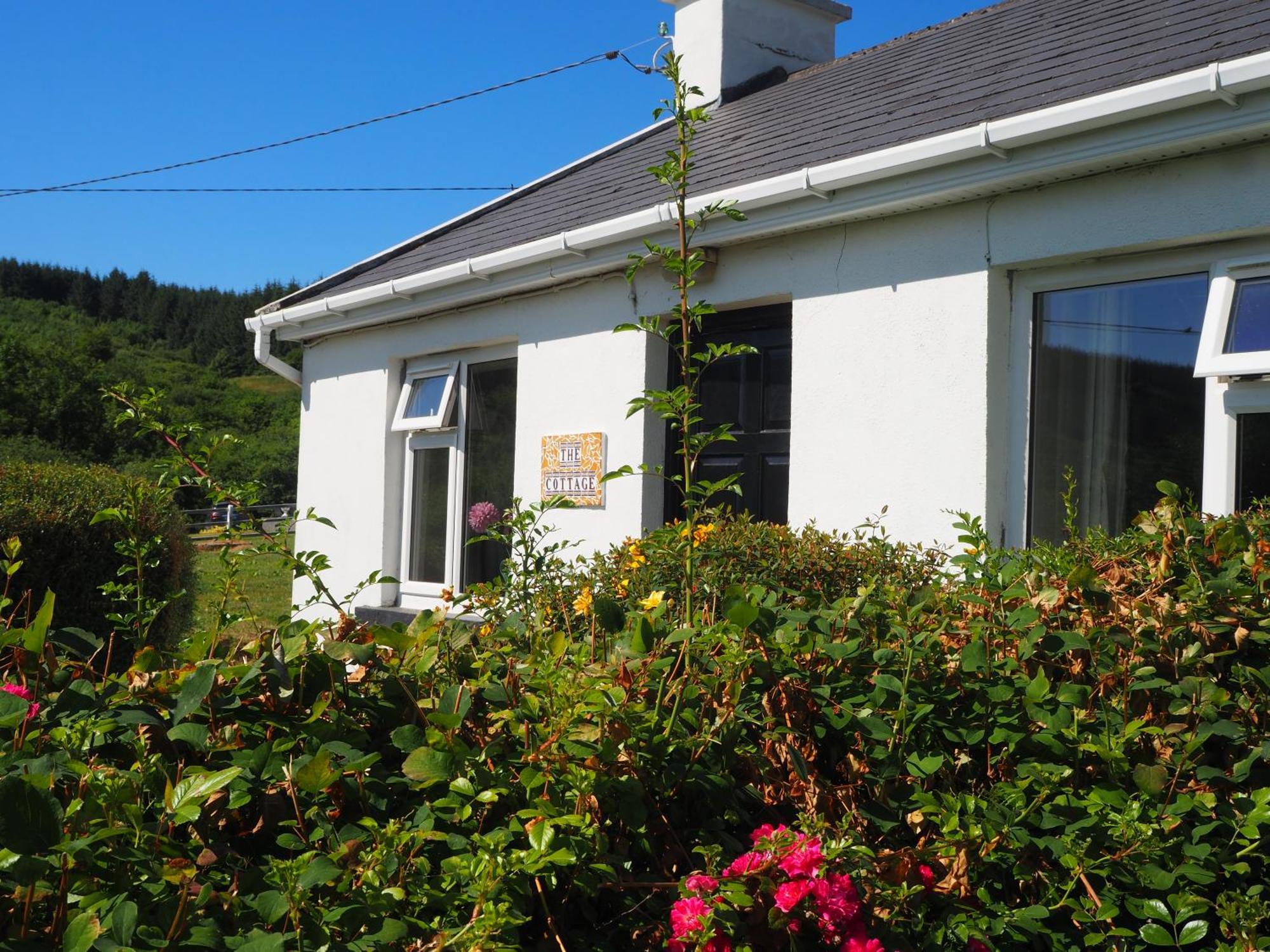 The Cottage @ Burkedale House Corofin  Bagian luar foto