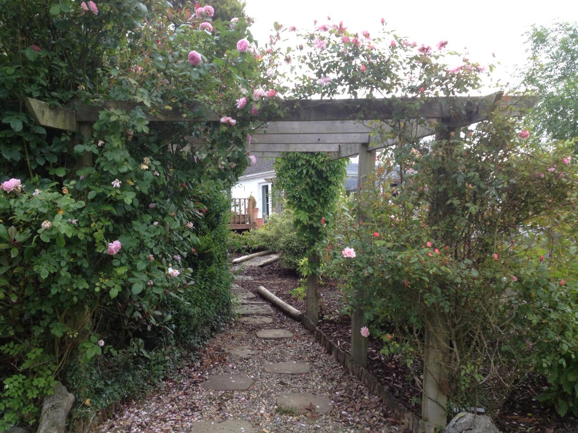 The Cottage @ Burkedale House Corofin  Bagian luar foto